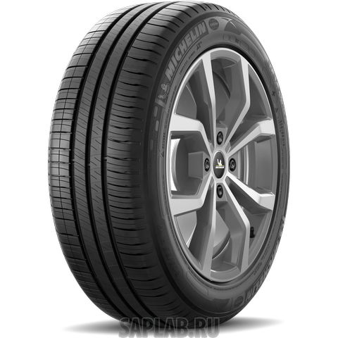 Купить MICHELIN 498361 Шины MICHELIN 175/70/14  T 88 EN XM2+  XL