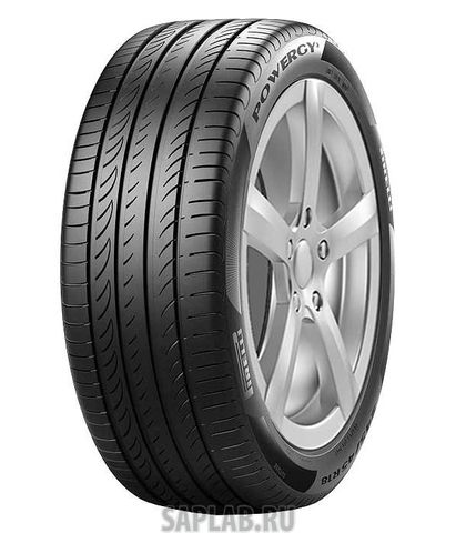 Купить PIRELLI 3925100 Шины Pirelli 225/55/17  Y 101 POWERGY  XL