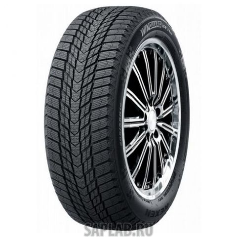 Купить ROADSTONE 16124 Шины Roadstone Winguard Ice Plus 245/45 R18 100T