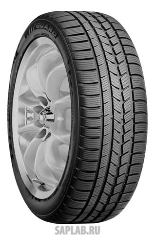 Купить ROADSTONE R12047 Шины ROADSTONE Winguard Sport 245/45 R17 99 V R12047