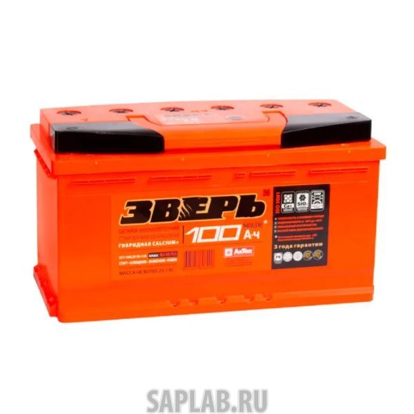 Купить запчасть ЗВЕРЬ - 100L900A 